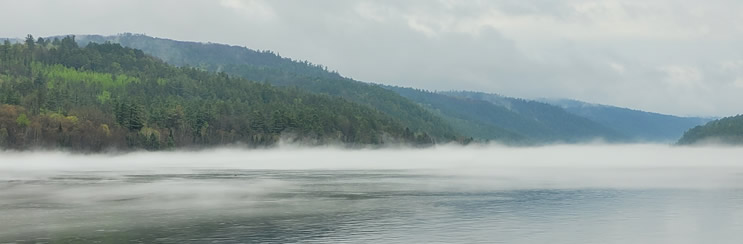 Lions Den Mist